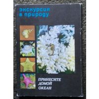 Набор открыток "Принесите домой океан". СССР, 1975 год