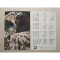 Карманный календарик. Зоопарк. Филин. 1991 год