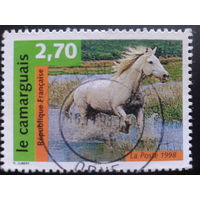 Франция 1998 конь