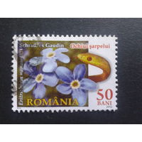 Румыния 2012 цветы
