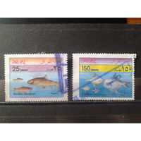 Ирак 2001 Рыбы Михель-2,2 евро гаш