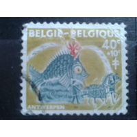 Бельгия 1959 Рыба, борьба с туберкулезом