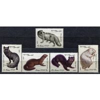 Фауна. Пушные звери. 1980. Полная серия 5 марок. Чистые