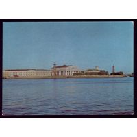 1977 год Ленинград Стрелка Васильевского острова
