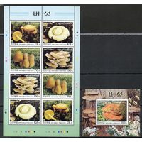 Грибы КНДР 2003 год серия из 4-х марок в малом листе и 1 блока