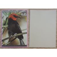 Экваториальная Гвинея 1976 Североамериканские птицы. Трапиды