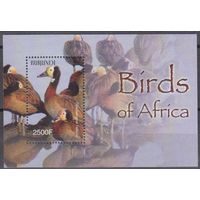 2004 Бурунди 1898/B145 Птицы Африки