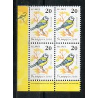 Девятый стандартный выпуск "Птицы сада" Беларусь 2006 год (649) 1 марка в квартблоке (простая бумага)