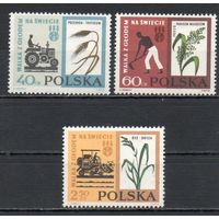 Борьба с голодом Польша 1963 год серия из 3-х марок