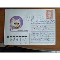 Украина провизорий Николаев 8 номер по каталогу Лобко 162-В фауна кошки