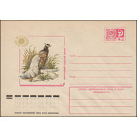 Художественный маркированный конверт СССР N 77-177 (04.04.1977) Коричневый ушастый фазан