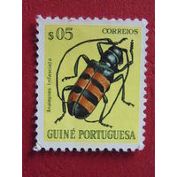 Португальские колонии - Гвинея 1953 г.  Жуки.