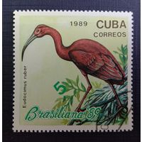Марки Куба 1989 Бразилиана'89  Птицы