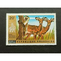 Руанда 1972. Национальный парк Акагера