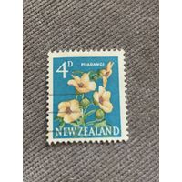 Новая Зеландия. Флора. Цветы. Puarangi