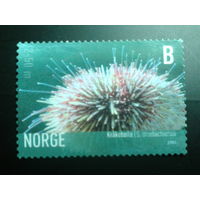 Норвегия 2006 морской еж
