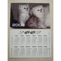 Карманный календарик . Котята. 2002 год