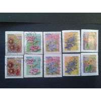 ЮАР 2001 стандарт, цветы полная серия марок из буклета