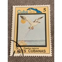Куба 1983. Птицы. Phaethon lepturus. Марка из серии