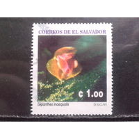 Сальвадор, 1995. Орхидея