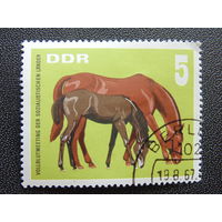 ГДР 1967 г. Лошадь с жеребёнком.