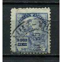 Бразилия - 1924/1925 - Аллегория 2000R - [Mi.268YA] - 1 марка. Гашеная.  (Лот 19DR)