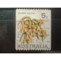Австралия 1970 Цветы австралийской акации