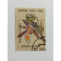 1991 СССР. Орхидеи. Дремлик болотный
