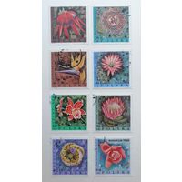 Польша 1968 / Флора / Цветы / Полная серия - 8 марок
