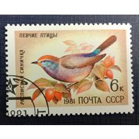 Марка СССР 1981 Певчие птицы
