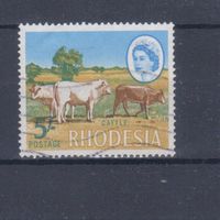 [622] Британские колонии.Родезия. Елизавета II.Фауна.Скот.Коровы. 5 Sh. Гашеная марка.