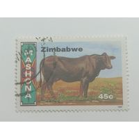 Зимбабве 1997. Породы крупного рогатого скота