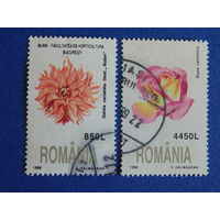 Румыния 1998 г. Цветы.