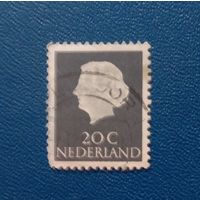 Нидерланды 1954