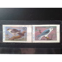 Вьетнам 1982 Хищные птицы без перф.