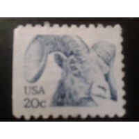 США 1982 стандарт, козел