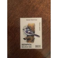 Беларусь 1998 Белая блакiтнiца