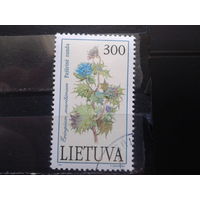 Литва 1992  Чертополох, концевая