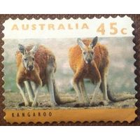 Австралия 1994. Красный кенгуру. Марка из серии