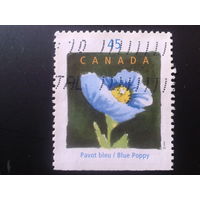 Канада 1997 выставка цветов