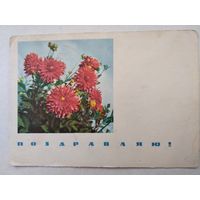 Открытка,почтовая карточка,,поздравляю!,, 1967 г.,подписана