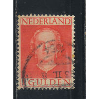 Нидерланды 1949 Юлиана Стандарт #540
