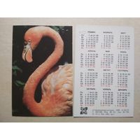 Карманный календарик. Зоопарк. Фламинго. 1991 год