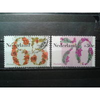 Нидерланды 1982 Благотворительные марки