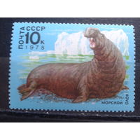 1978 Морской слон** концевая