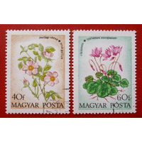 Венгрия. Цветы. ( 2 марки ) 1973 года.