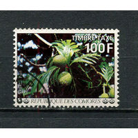 Коморы - 1977 - Хлебное дерево 100Fr. Portomarken - [Mi.15p] - 1 марка. Гашеная.  (LOT Dv26)(BB)