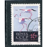 СССР 1962.. Фауна. Фламинго