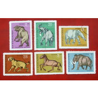 Болгария. Древние животные. ( 6 марок ) 1971 года. 10-17.