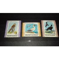 Монтсеррат (Малые Антильские острова) 1970 Фауна Птицы 3 чистые марки